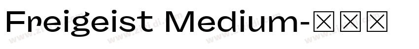 Freigeist Medium字体转换 Freigeist Medium字体转换